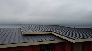 Best Metal Roofing Installation  in Macarthur, WV